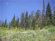 Big Sky_2008_8